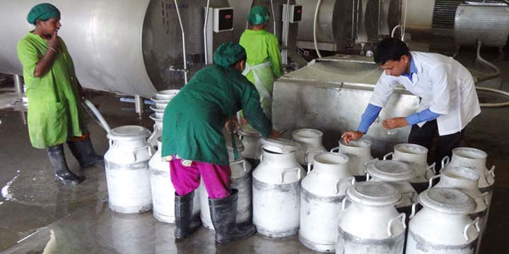 পাস্তুরিত দুধ নিয়ে হাইকোর্টে রিট