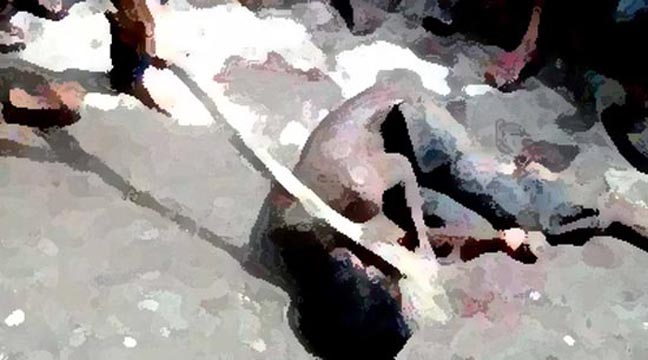 দেবিদ্বারে যুবককে গলা কেটে হত্যা