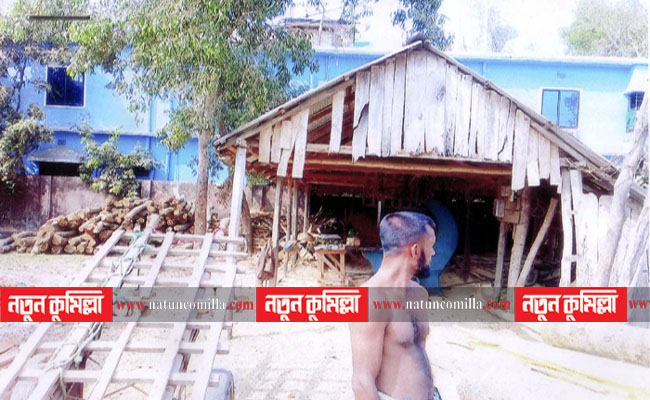 লাকসামে অনুমোদন ছাড়াই চলছে শতাধিক করাত কল