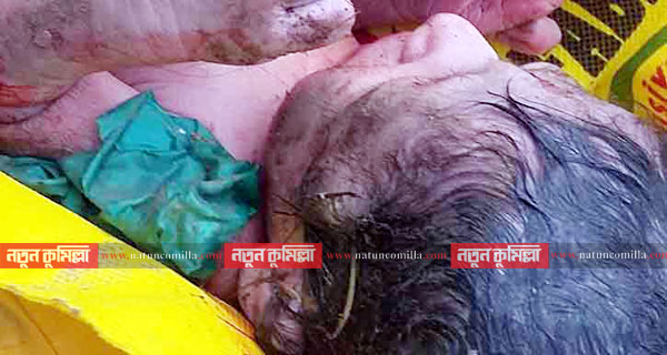 লাকসামে সড়কের পাশে ঝোপ থেকে নবজাতক উদ্ধার!