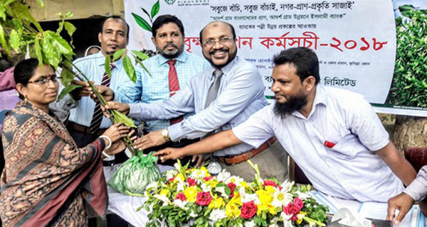 লাকসামে ইসলামী ব্যাংক’র উদ্যোগে গাছের চারা বিতরণ