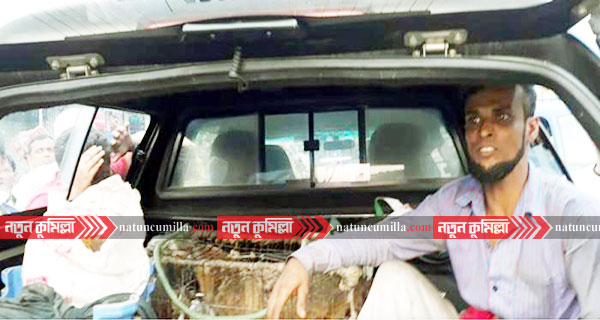 কুমিল্লায় শিয়ালসহ যুবক আটক, ১৫ দিনের কারাদণ্ড