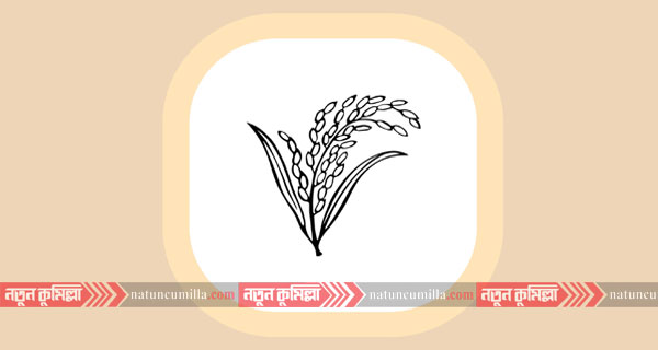 কুমিল্লায় নির্বাচনী আসনে বিএনপির গণসংযোগ না করার ঘোষণা