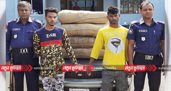 কুমিল্লায় দুই মণ গাঁজাসহ ২ ব্যবসায়ী আটক