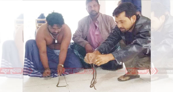 কুমিল্লা বিশ্ববিদ্যালয় প্রশাসনিক ভাবন থেকে গোখরা সাপ উদ্ধার