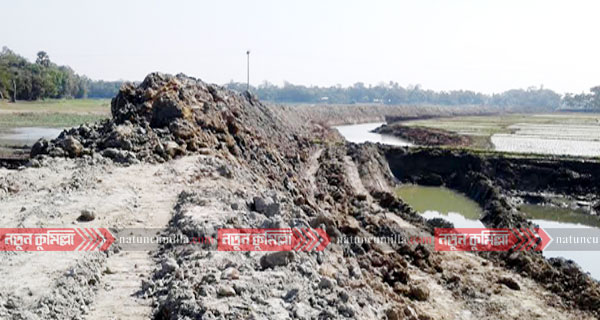নাঙ্গলকোটে ডাকাতিয়া নদীর বাঁধ নির্মাণ শুরু