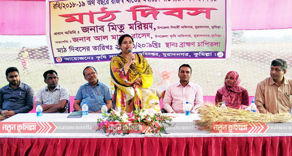 মুরাদনগরে গম প্রদর্শনীর কৃষক মাঠ দিবস অনুষ্ঠিত