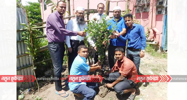 লাকসামে যমুনা ব্যাংক’র উদ্যোগে বৃক্ষরোপন কর্মসূচি পালিত