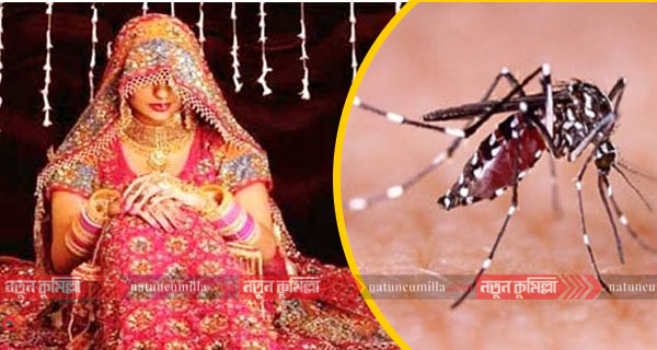 ডেঙ্গু জ্বরে কুমিল্লার নববধূর মৃত্যু