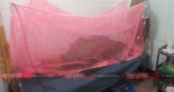 লাকসামে শিশুসহ ৪৪ জন ডেঙ্গু রোগে আক্রান্ত