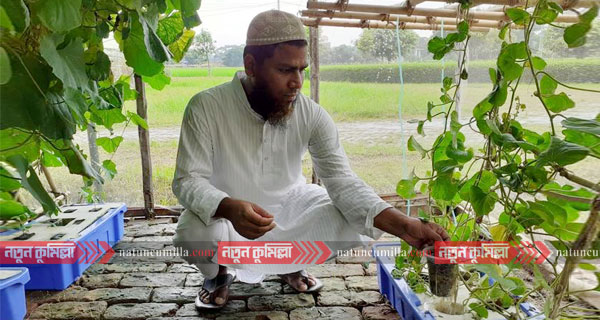 কুমিল্লায় মাটি ছাড়াই চাষ হচ্ছে সবজি!