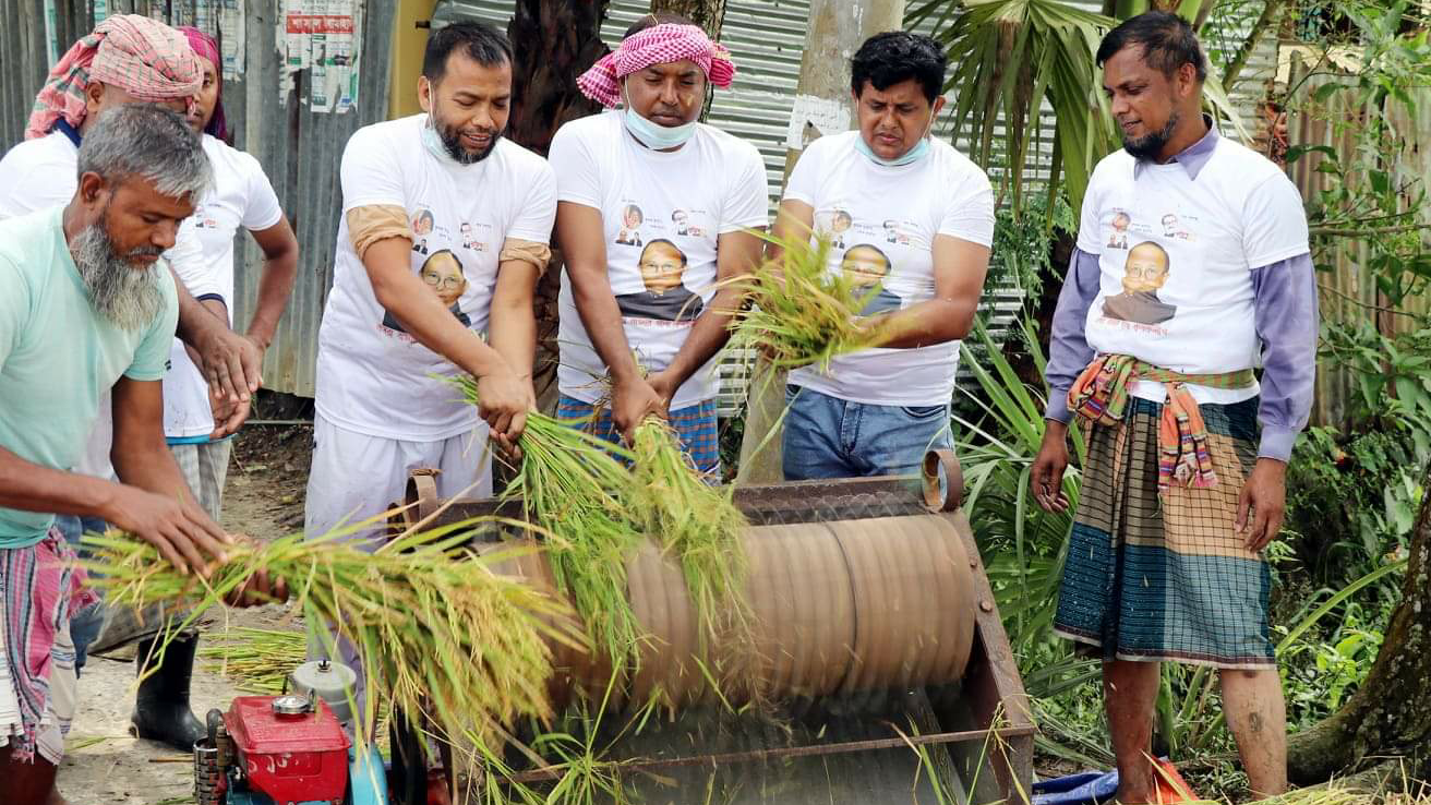 মুরাদনগরে কৃষকের ধান কেটে মাড়াই করে দিলো কৃষকলীগ