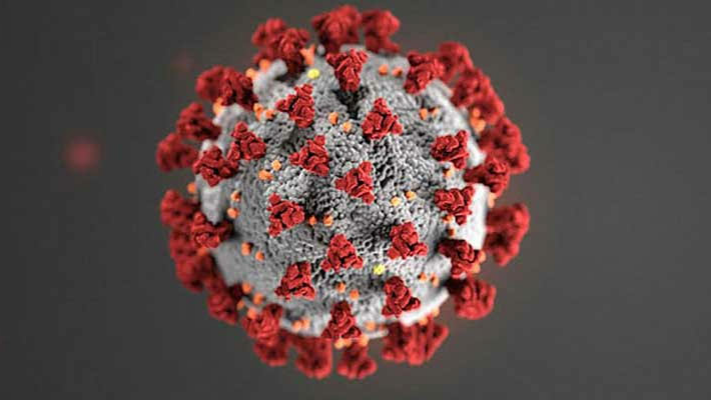 কুমিল্লায় কৃষি কর্মকর্তাসহ নতুন ৫ জনের করোনা সনাক্ত, আক্রান্ত বেড়ে ৯৮