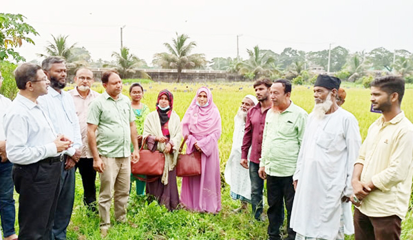 কুমিল্লায় তেল জাতীয় ফসল উৎপাদনে কাজ করছি